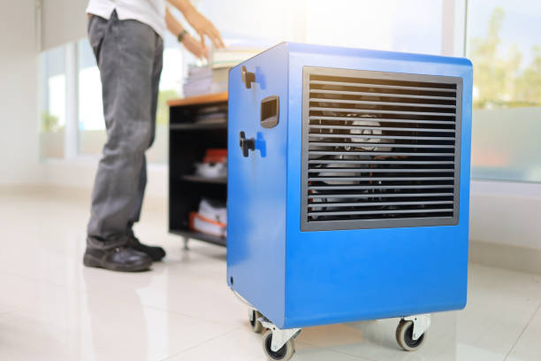 Best Biohazard Mold Removal  in Maywood Park, OR